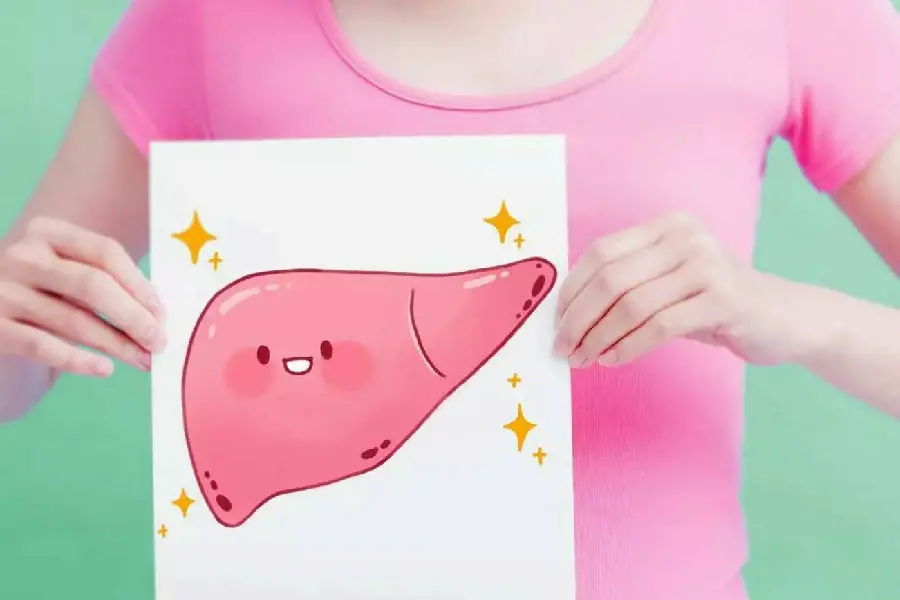 Liver