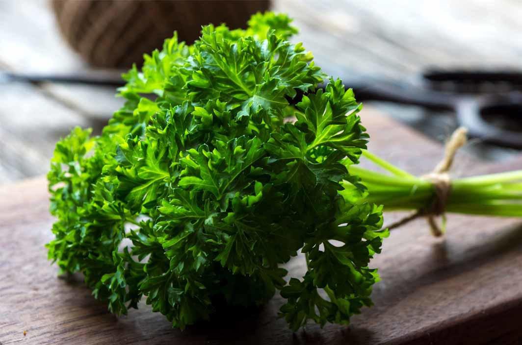 Parsley extract 450cc