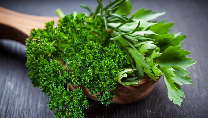 Parsley
